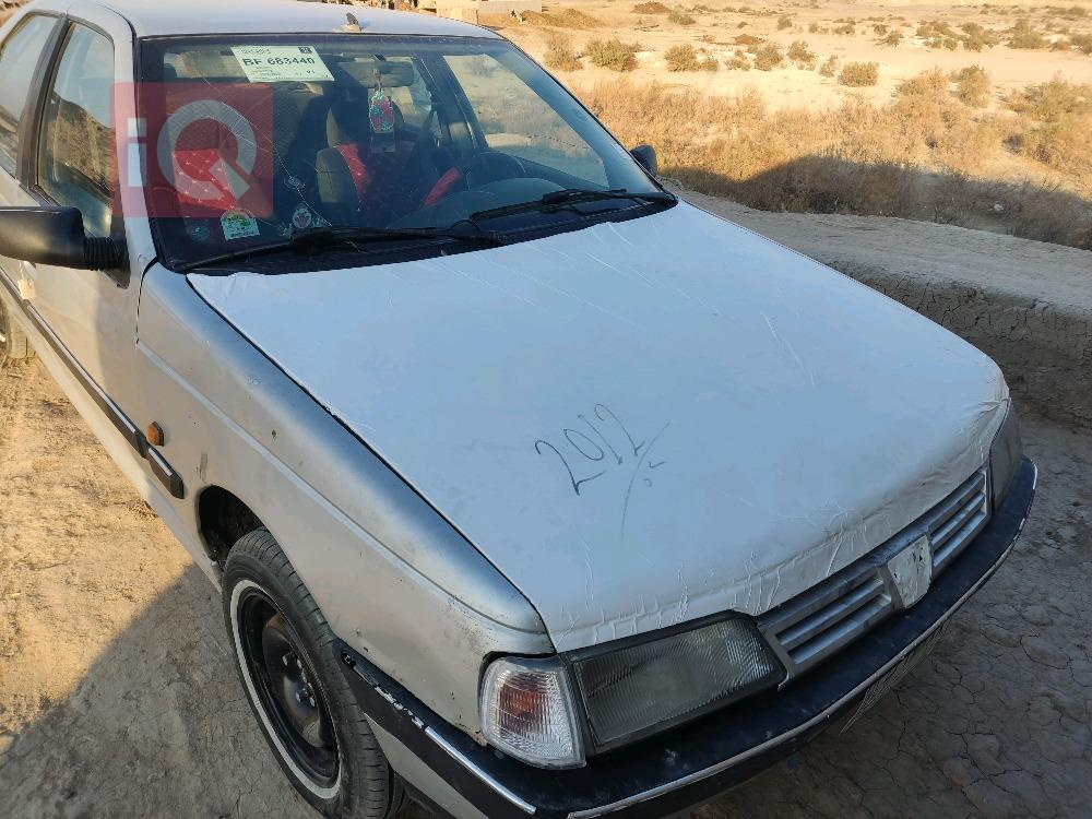 بيجو روا